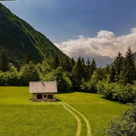 Apartment Pocitniska Hisa Voje Srednja Vas v Bohinju