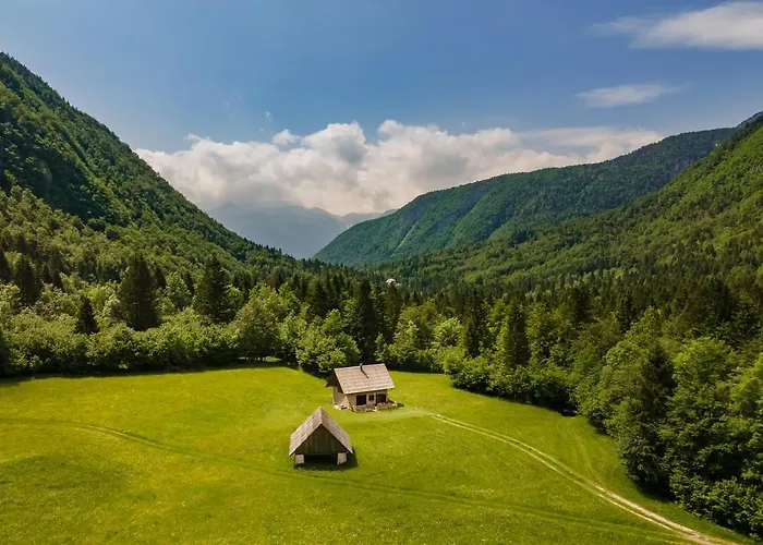 Pocitniska Hisa Voje Srednja Vas v Bohinju