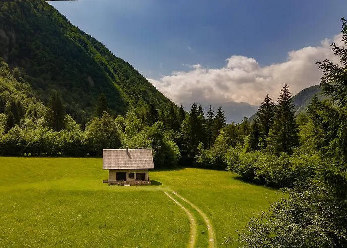 Apartment Pocitniska Hisa Voje Srednja Vas v Bohinju